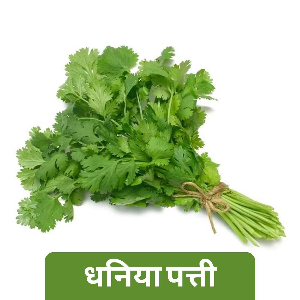 Coriander Bunch (Dhaniya Patta) (हरी धनिया)