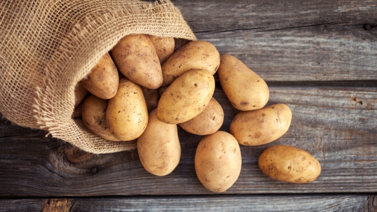 Potato - New Crop (आलू )